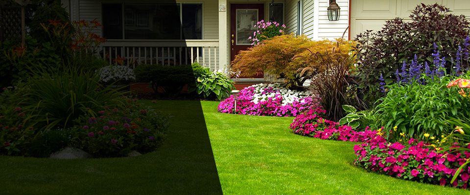 Carrollton Landscapers